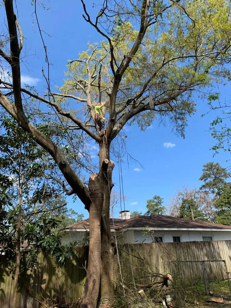 Local outdoor landscaping experts serving Graham, NC - Goldman's Tree Service