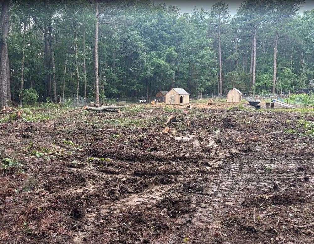 Trusted yard maintenance in Graham, NC by Goldman's Tree Service