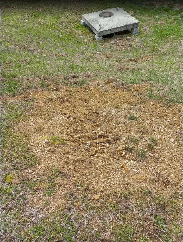 Reliable residential landscaping for homes across Graham, NC - Goldman's Tree Service