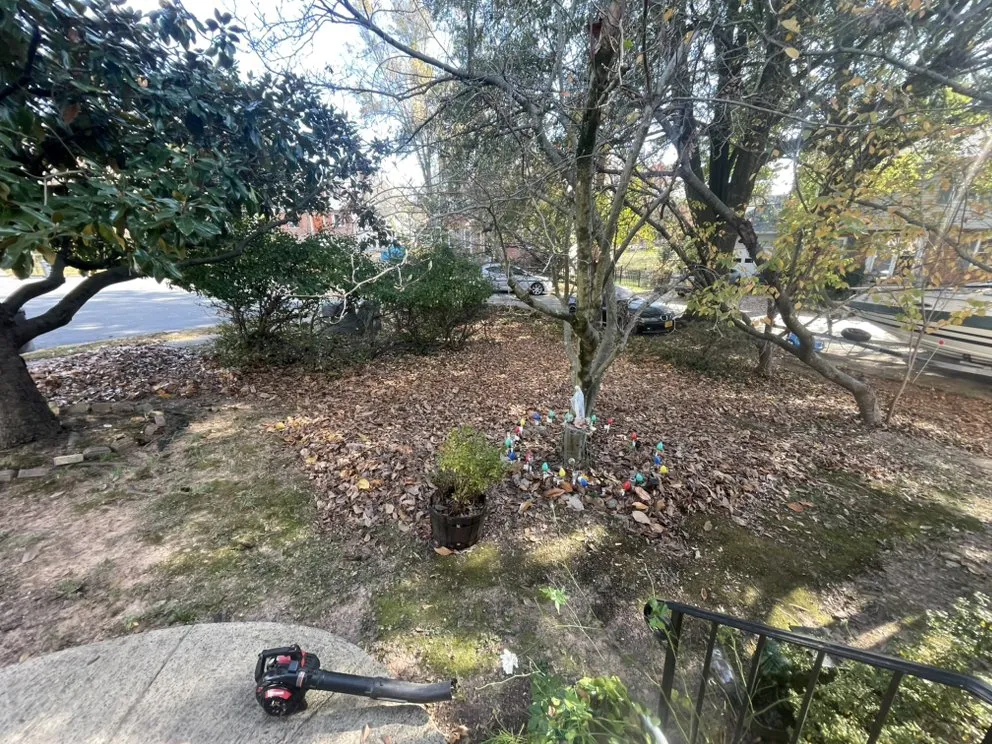 Expert garden landscaping near you across Forest Heights, MD - Goldmind Home Improvement Services