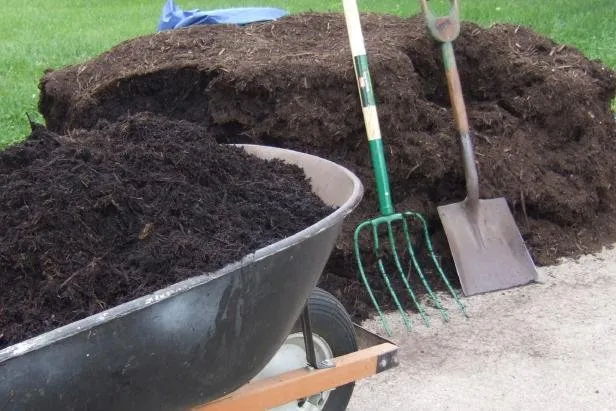 Affordable yard cleanup service in Bridgewater Township, NJ by Golds Landscaping & Mulch