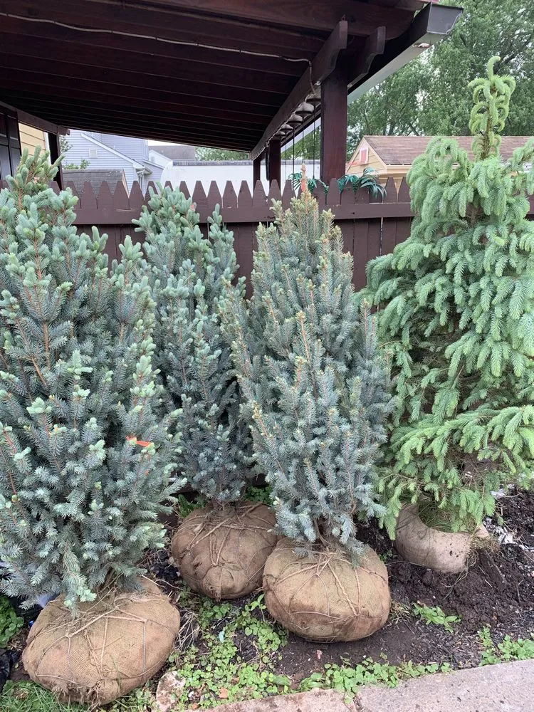 Expert landscape design in Bridgewater Township, NJ by Golds Landscaping & Mulch