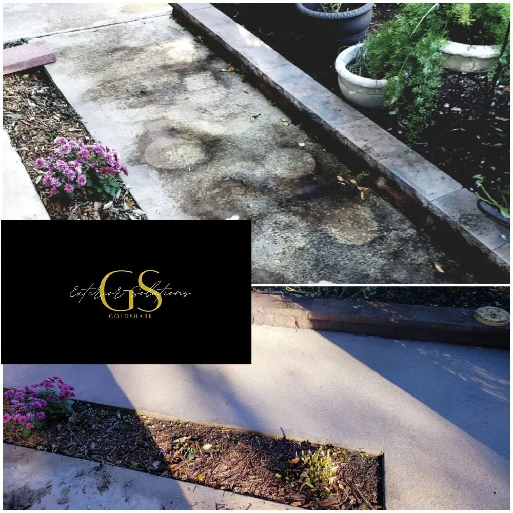 Custom landscape installation in Columbia, SC - GoldShark Exterior Solutions
