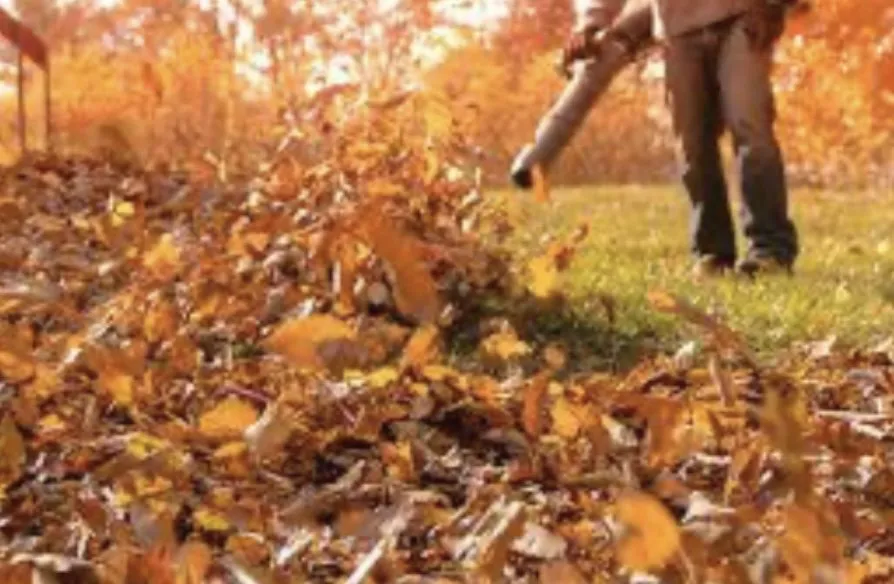 Top-rated lawn care service for residential properties across Upper Marlboro, MD - Goldsmith Landscaping