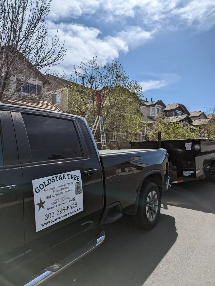 Reliable garden landscaping in Centennial, CO - Goldstar Tree & Stump Grinding