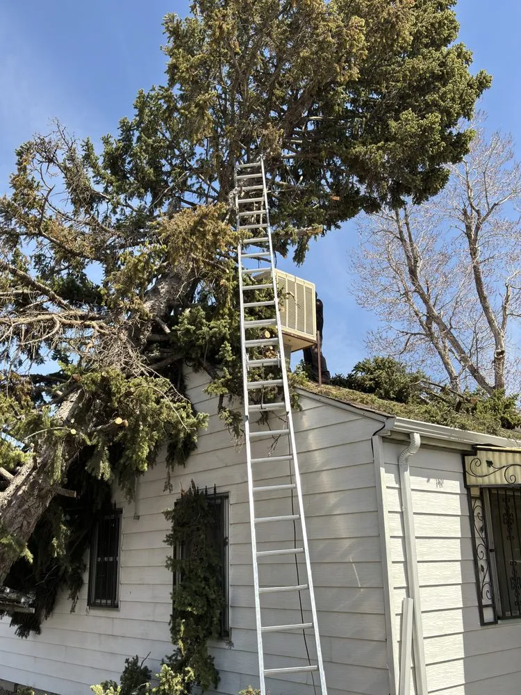 Expert garden landscaping for beautiful yards in Centennial, CO by Goldstar Tree & Stump Grinding