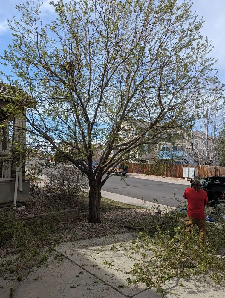 Expert lawn mowing service in Centennial, CO by Goldstar Tree & Stump Grinding