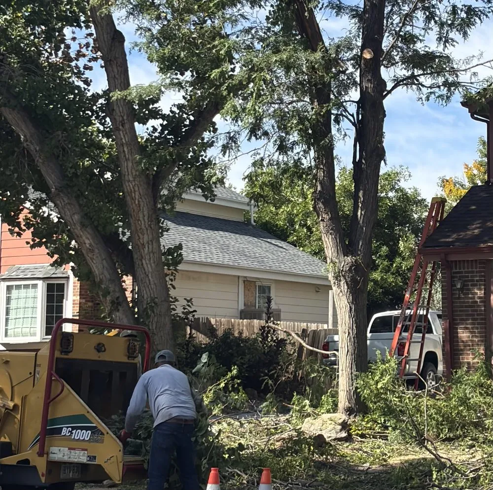 Expert yard cleanup service for outdoor upgrades in Centennial, CO by Goldstar Tree & Stump Grinding