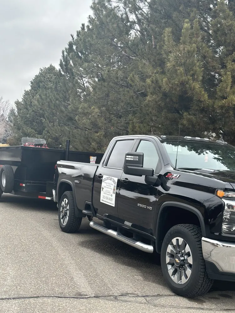 Custom landscape installation in Centennial, CO - Goldstar Tree & Stump Grinding