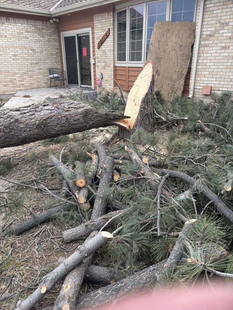 Affordable lawn mowing service experts serving Centennial, CO - Goldstar Tree & Stump Grinding