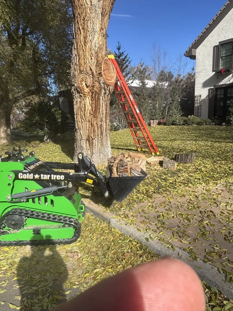 Reliable lawn mowing service in Centennial, CO - Goldstar Tree & Stump Grinding