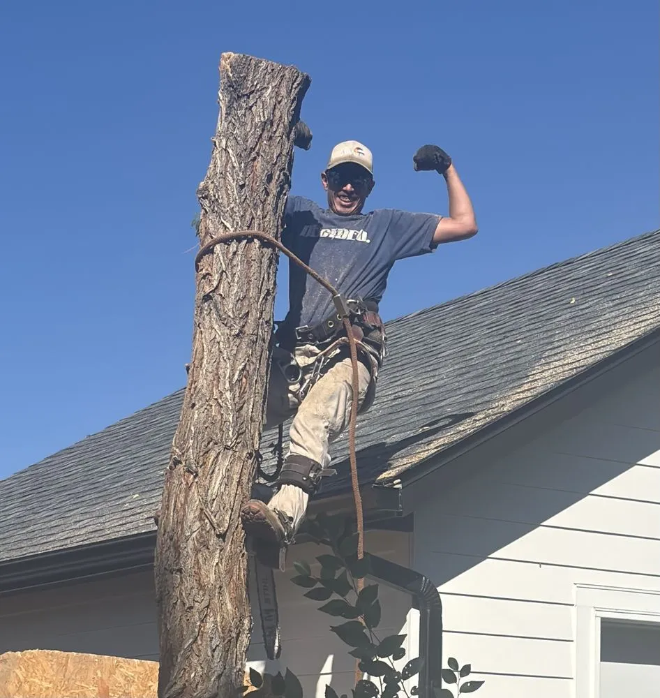 Professional landscaping services for homes in Centennial, CO by Goldstar Tree & Stump Grinding