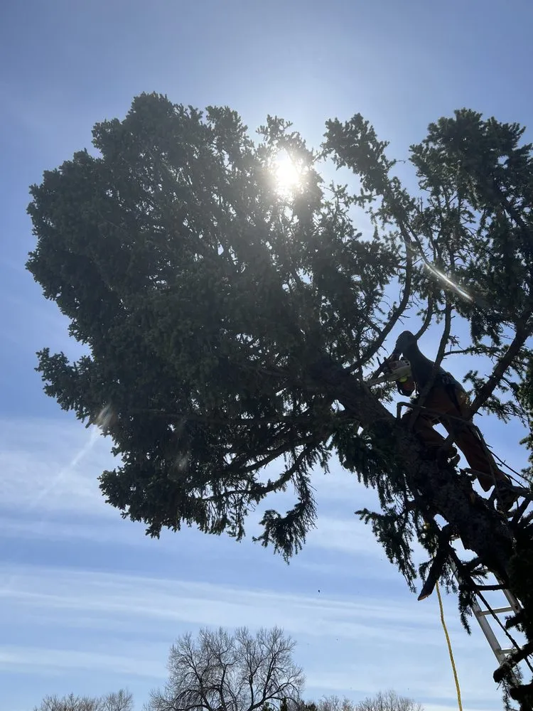 Custom landscaping services experts serving Centennial, CO - Goldstar Tree & Stump Grinding