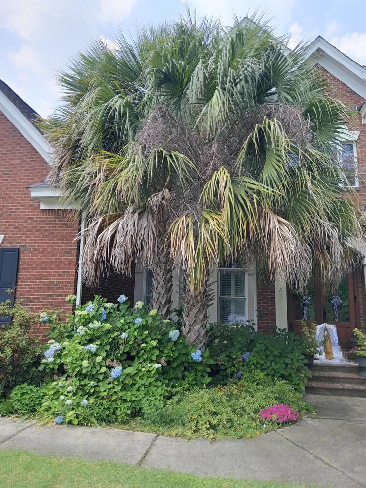 Professional outdoor landscaping for residential properties across Columbia, SC - Goldstein Tree Trimming Specialist