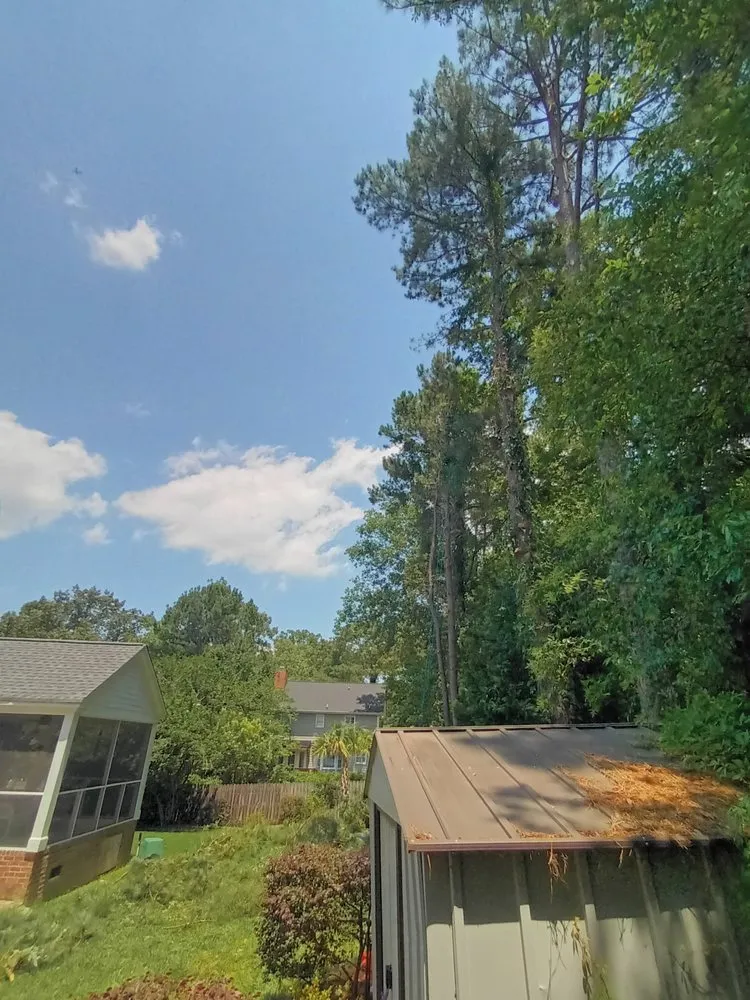 Affordable landscape design experts serving Columbia, SC - Goldstein Tree Trimming Specialist