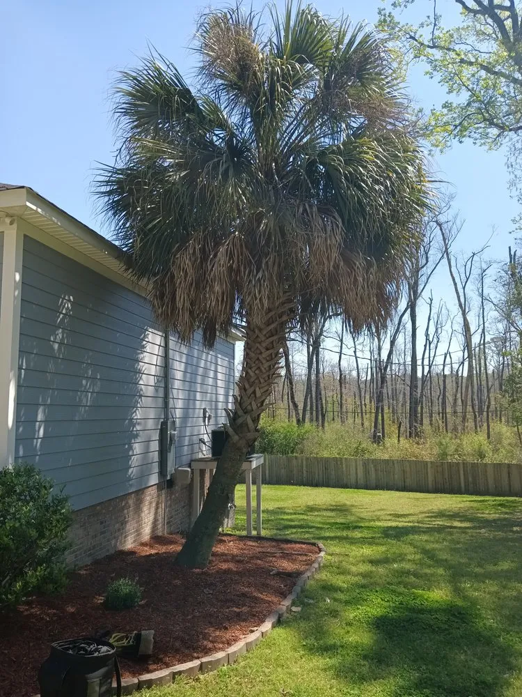 Reliable yard maintenance for beautiful yards across Columbia, SC - Goldstein Tree Trimming Specialist