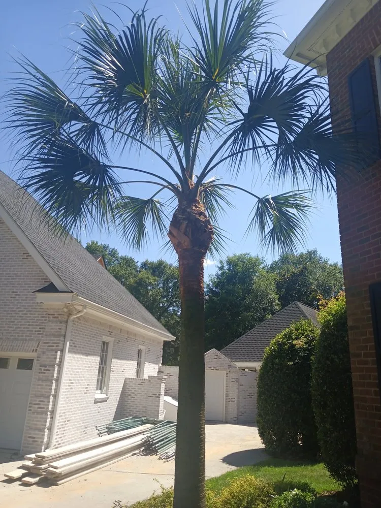 Top-rated outdoor landscaping experts serving Columbia, SC - Goldstein Tree Trimming Specialist