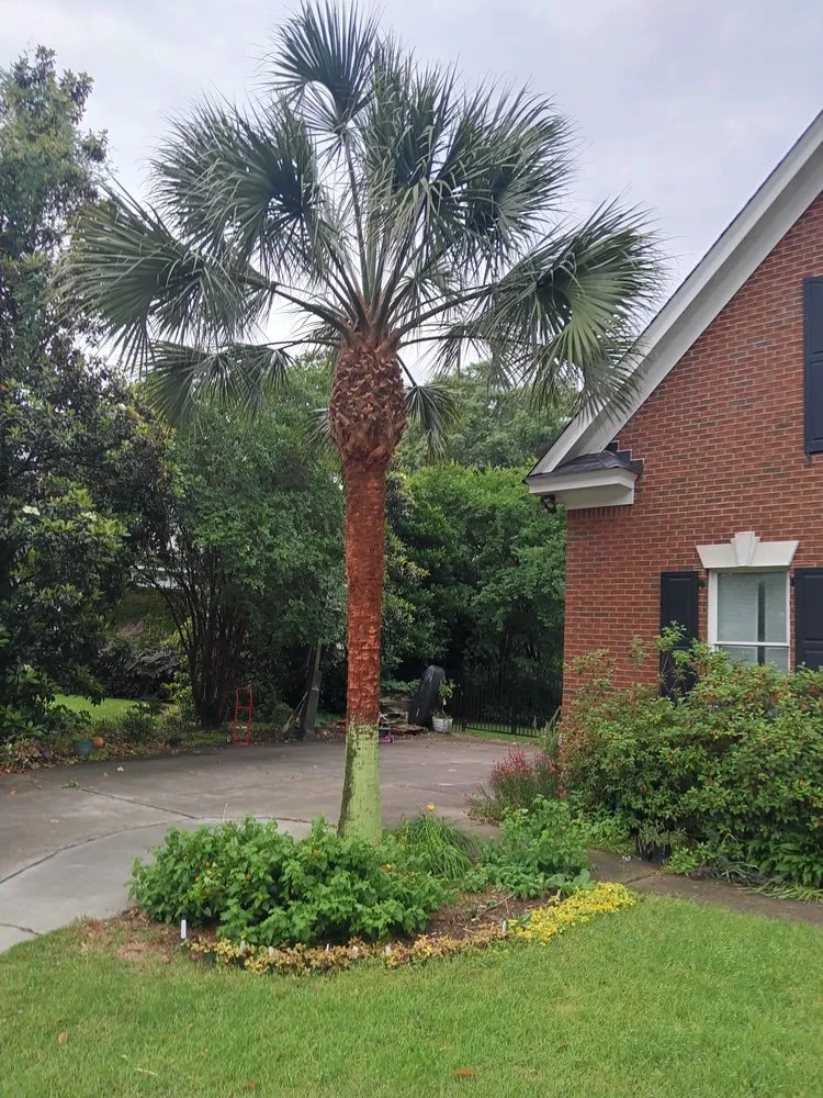 Custom lawn care service experts serving Columbia, SC - Goldstein Tree Trimming Specialist