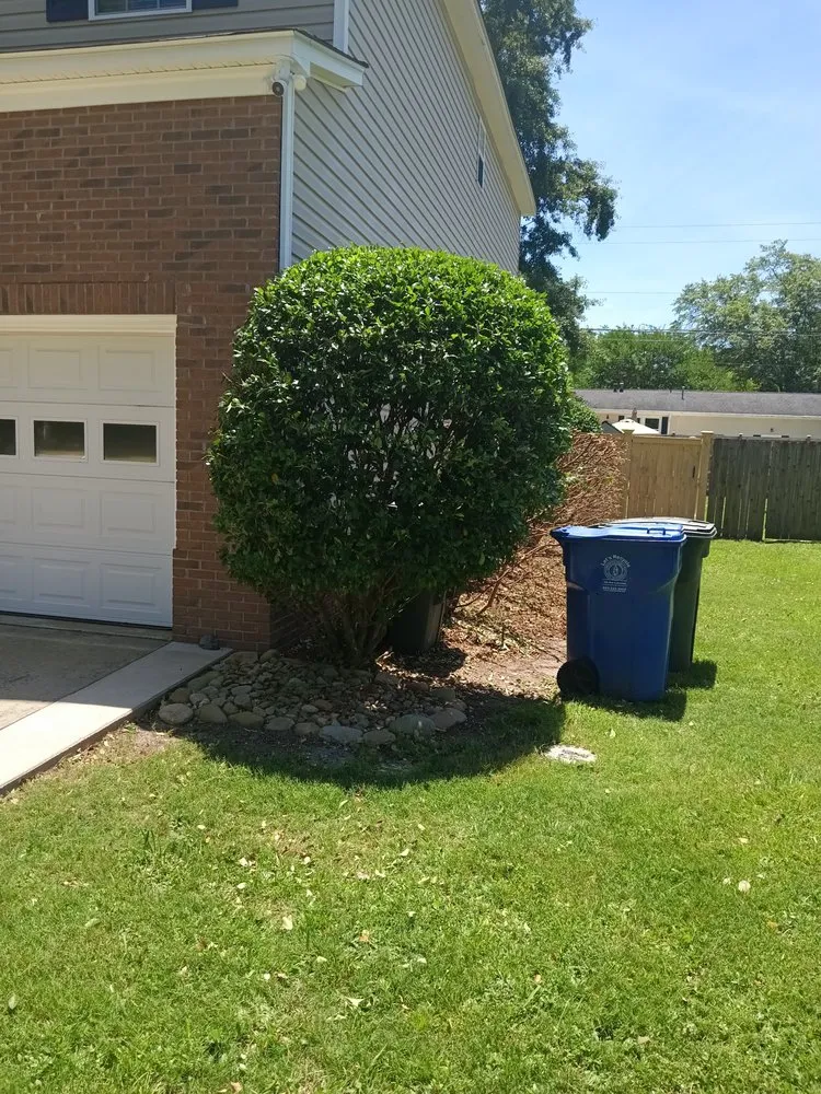 Custom outdoor landscaping for residential properties in Columbia, SC by Goldstein Tree Trimming Specialist