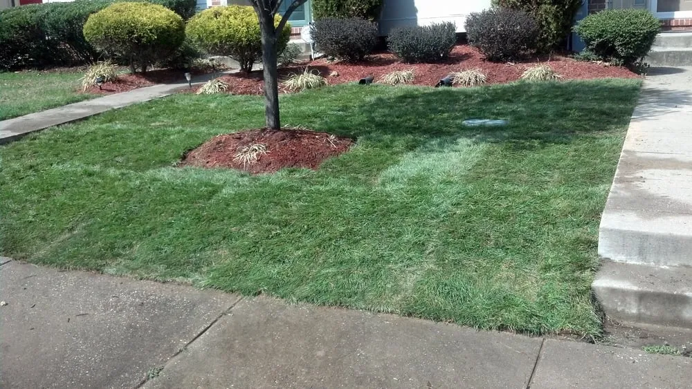 Reliable residential landscaping in Bowie, MD - Goldtree Lawn and Garden