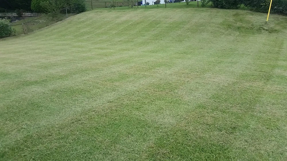 Affordable landscape installation for homes across Bowie, MD - Goldtree Lawn and Garden