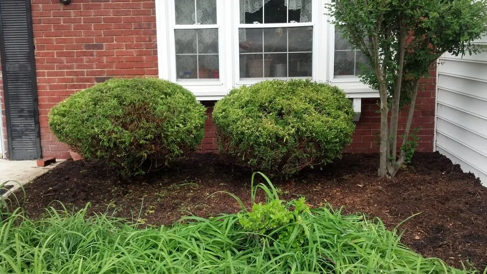 Reliable landscaping services in Bowie, MD - Goldtree Lawn and Garden