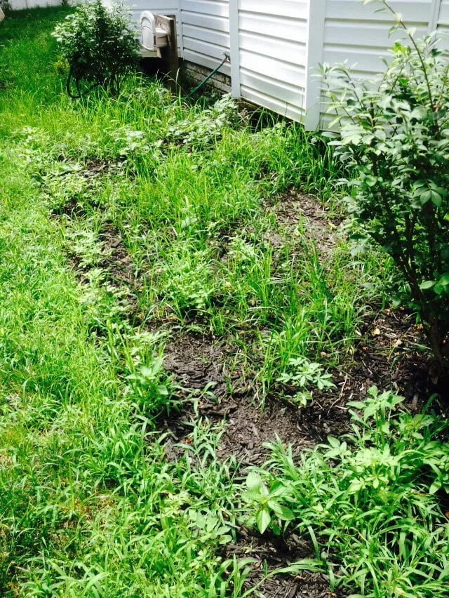 Top-rated residential landscaping in Bowie, MD - Goldtree Lawn and Garden