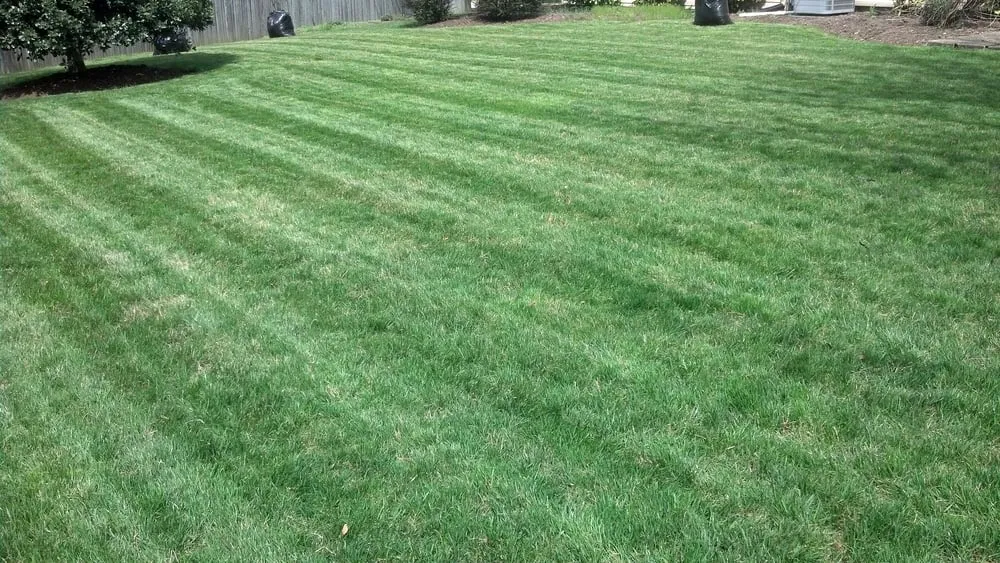 Custom residential landscaping near you across Bowie, MD - Goldtree Lawn and Garden