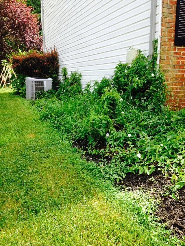 Local yard maintenance in Bowie, MD - Goldtree Lawn and Garden
