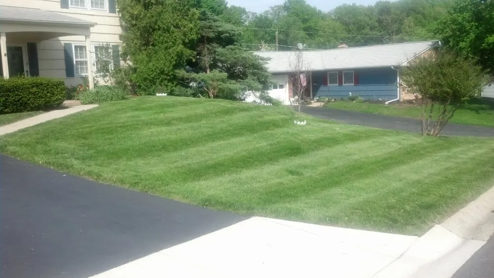 Top-rated outdoor landscaping for outdoor upgrades in Bowie, MD by Goldtree Lawn and Garden