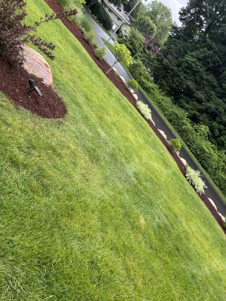 Local landscape design in Springfield, MA by Goldy Landscaping