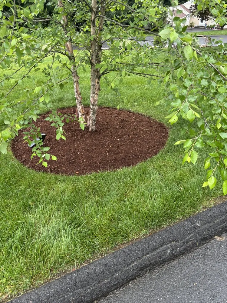 Local yard maintenance experts serving Springfield, MA - Goldy Landscaping
