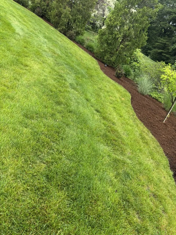 Trusted landscaping services for beautiful yards across Springfield, MA - Goldy Landscaping
