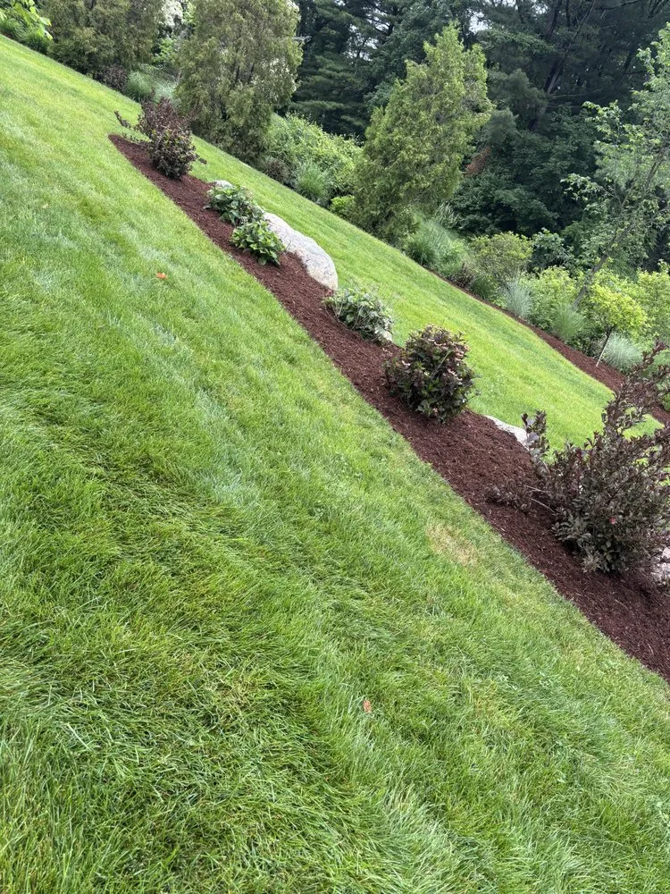 Custom lawn care service in Springfield, MA - Goldy Landscaping