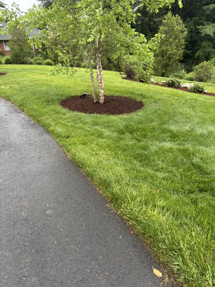 Local yard cleanup service in Springfield, MA - Goldy Landscaping