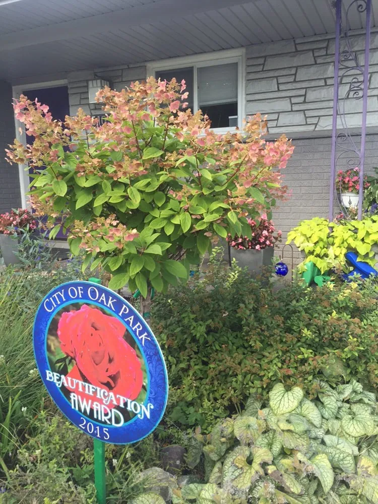 Expert yard cleanup service for homes in Berkley, MI by Goldy's Landscaping