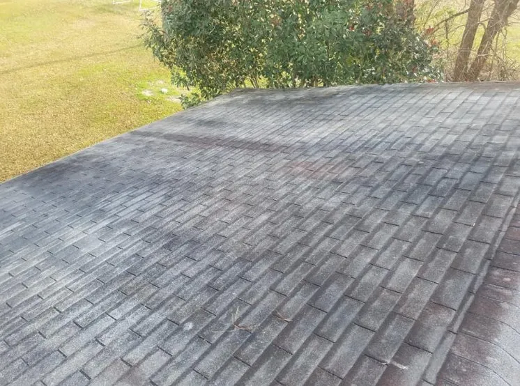 Professional garden landscaping in Monroe, LA by Gole's Pressure Washing