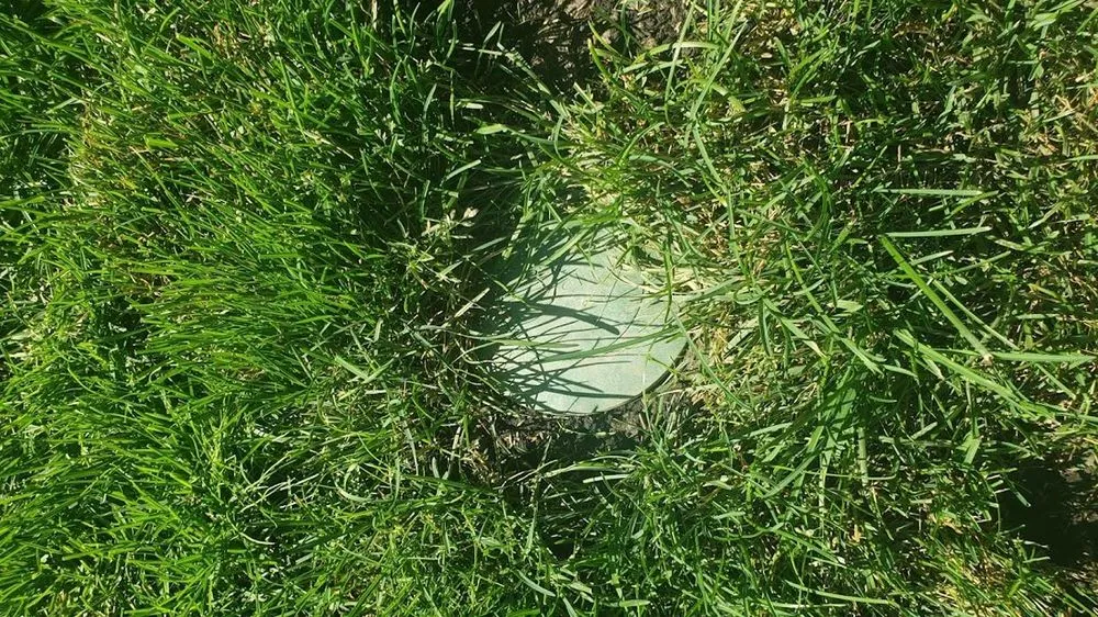 Trusted yard cleanup service experts serving Pekin, IL - Golf Green Lawn Care