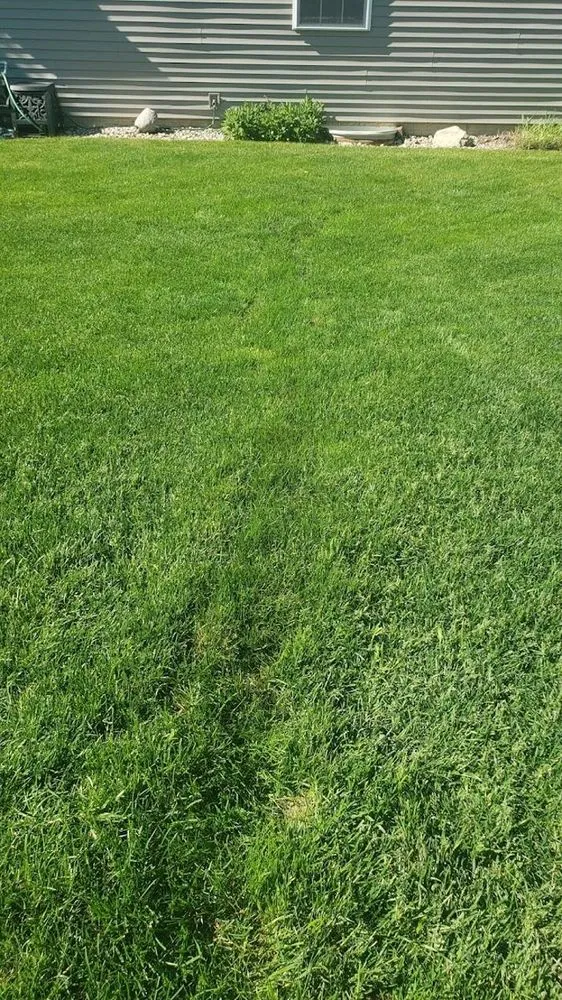 Trusted landscape design near you in Pekin, IL by Golf Green Lawn Care