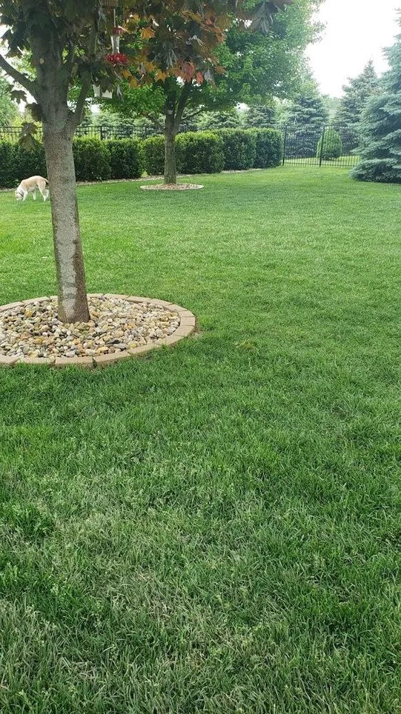 Custom lawn mowing service in Pekin, IL by Golf Green Lawn Care