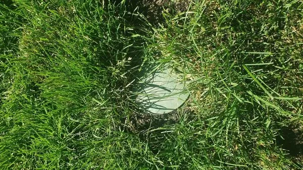 Golf Green Lawn Care