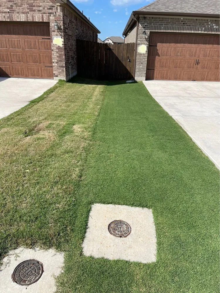 Top-rated yard cleanup service in Hutto, TX by GolfLawns