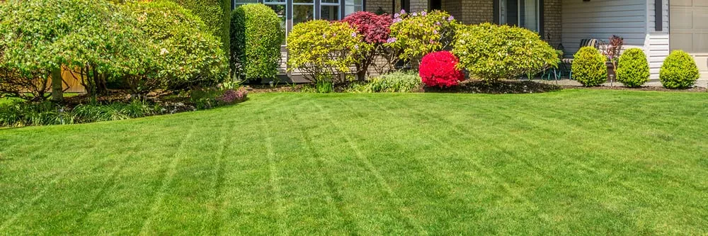 Local outdoor landscaping experts serving Defiance, OH - Goliath Tree & Lawn Service