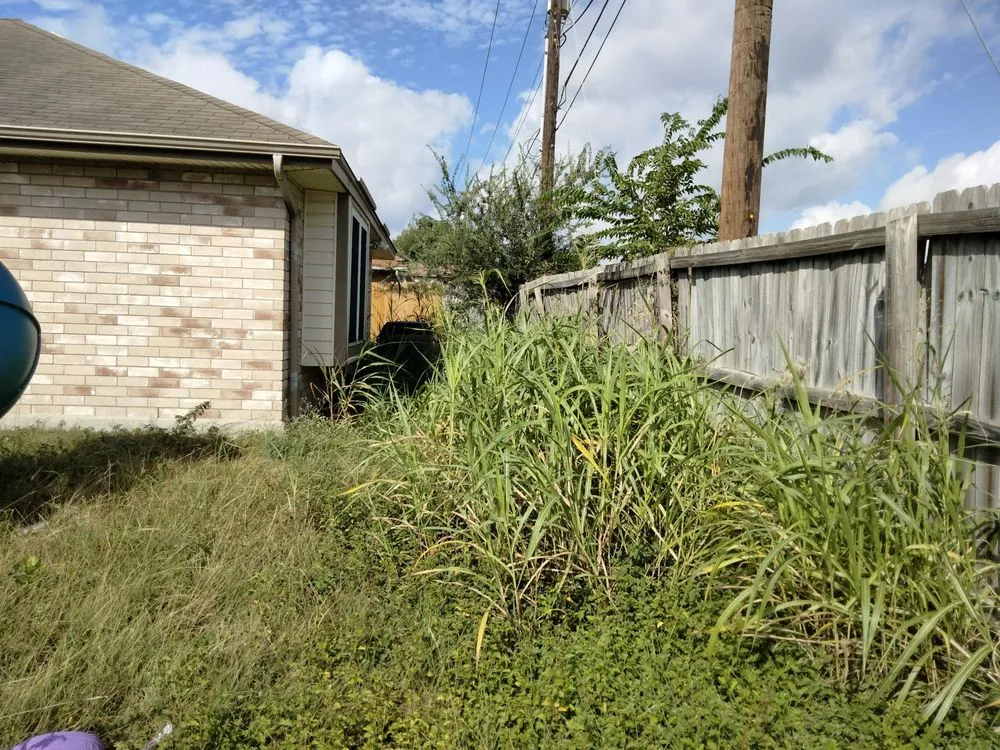 Local yard maintenance in San Antonio, TX by Gomez & Sons Lawn Maintenance