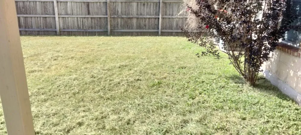 Local residential landscaping in San Antonio, TX - Gomez & Sons Lawn Maintenance