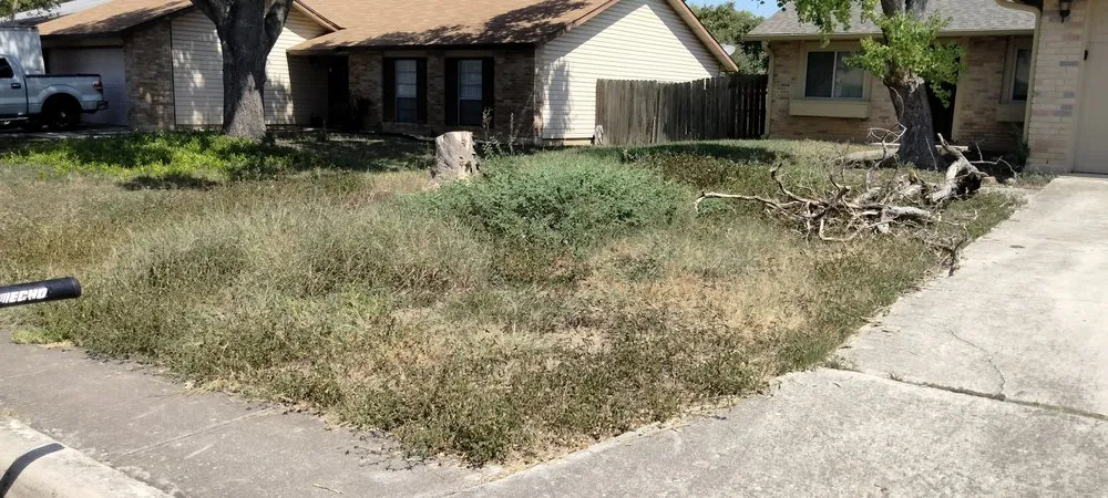 Affordable landscape installation in San Antonio, TX by Gomez & Sons Lawn Maintenance