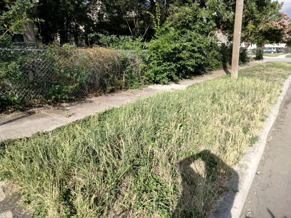 Reliable garden landscaping for year-round maintenance in San Antonio, TX by Gomez & Sons Lawn Maintenance