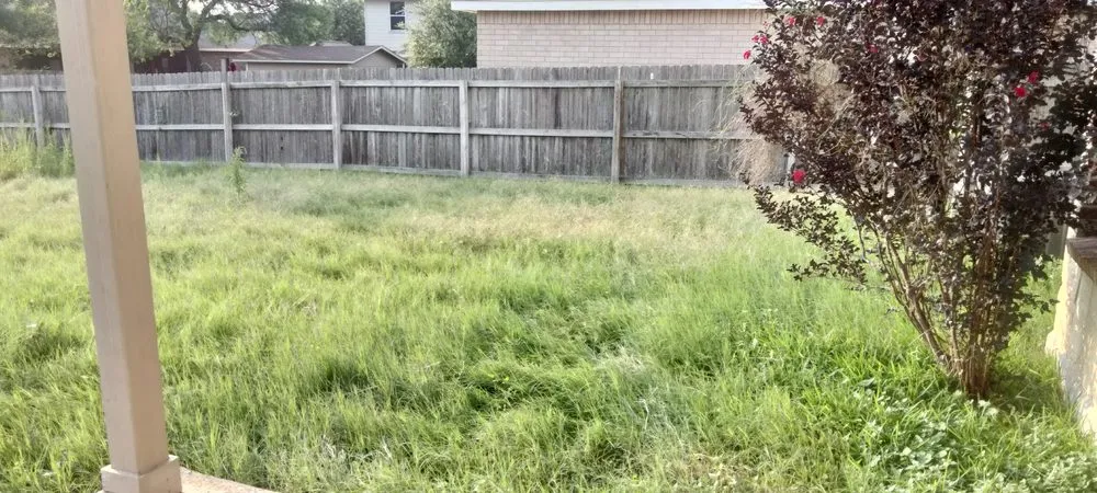 Affordable outdoor landscaping in San Antonio, TX by Gomez & Sons Lawn Maintenance