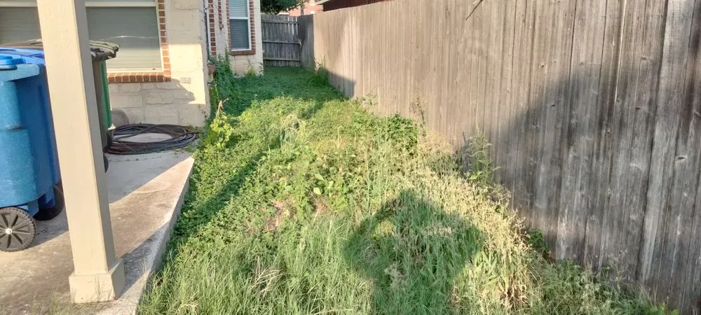 Local yard cleanup service in San Antonio, TX by Gomez & Sons Lawn Maintenance