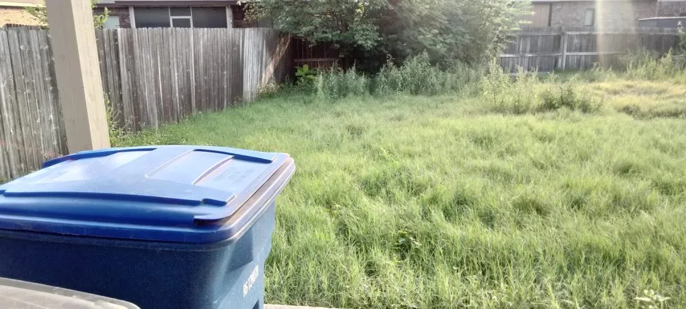 Professional yard cleanup service near you in San Antonio, TX by Gomez & Sons Lawn Maintenance